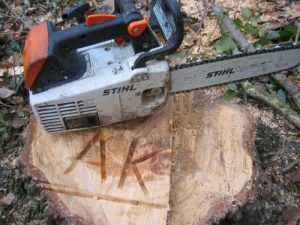 Initialen im Baum